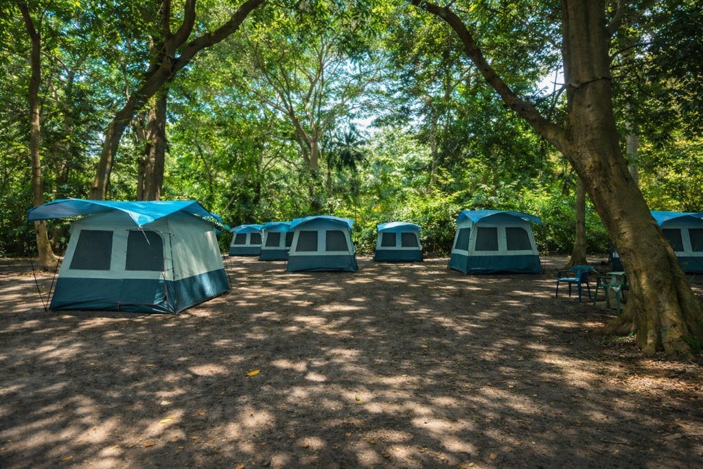 Espacio para acampar para 1 persona