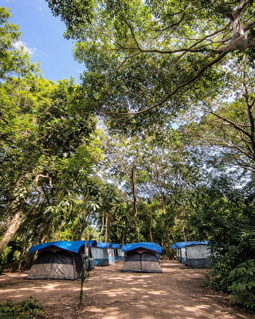 Espacio para acampar para 1 persona