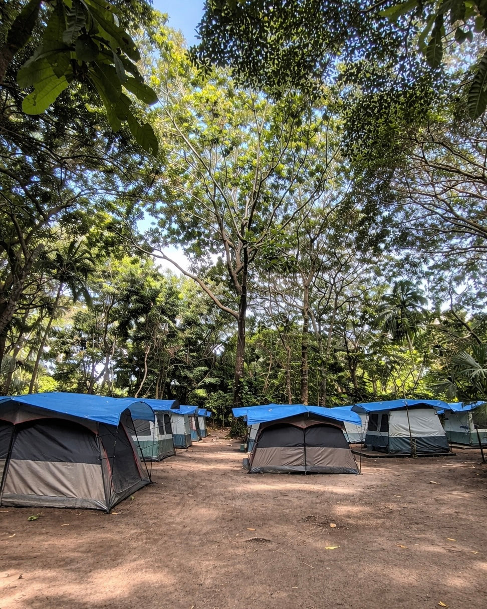 Espacio para acampar para 1 persona